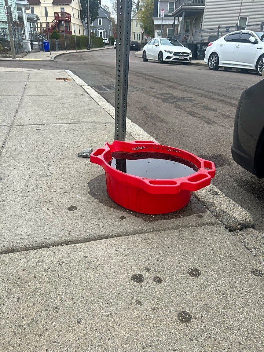 Image submitted with report