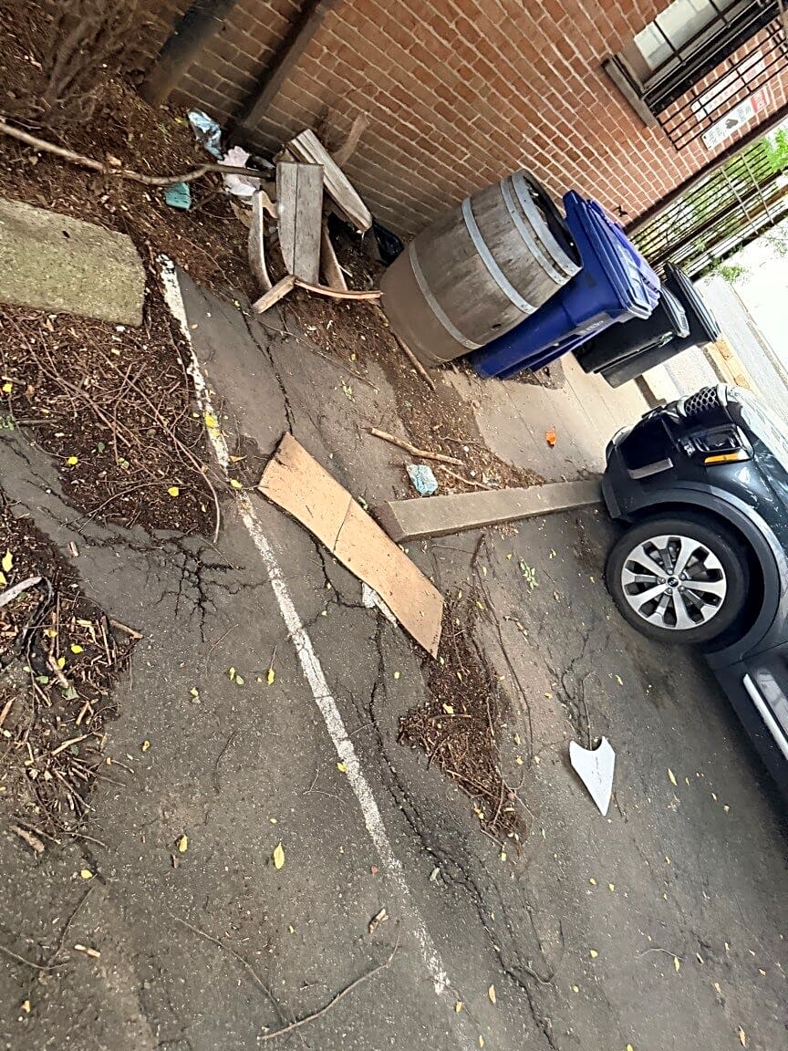 Image submitted with report