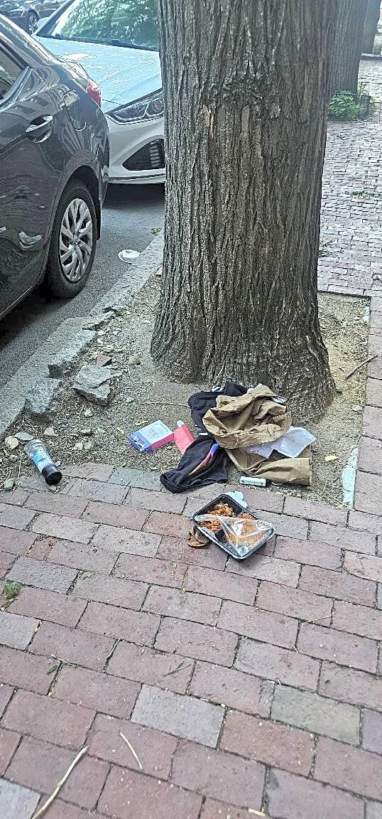 Image submitted with report