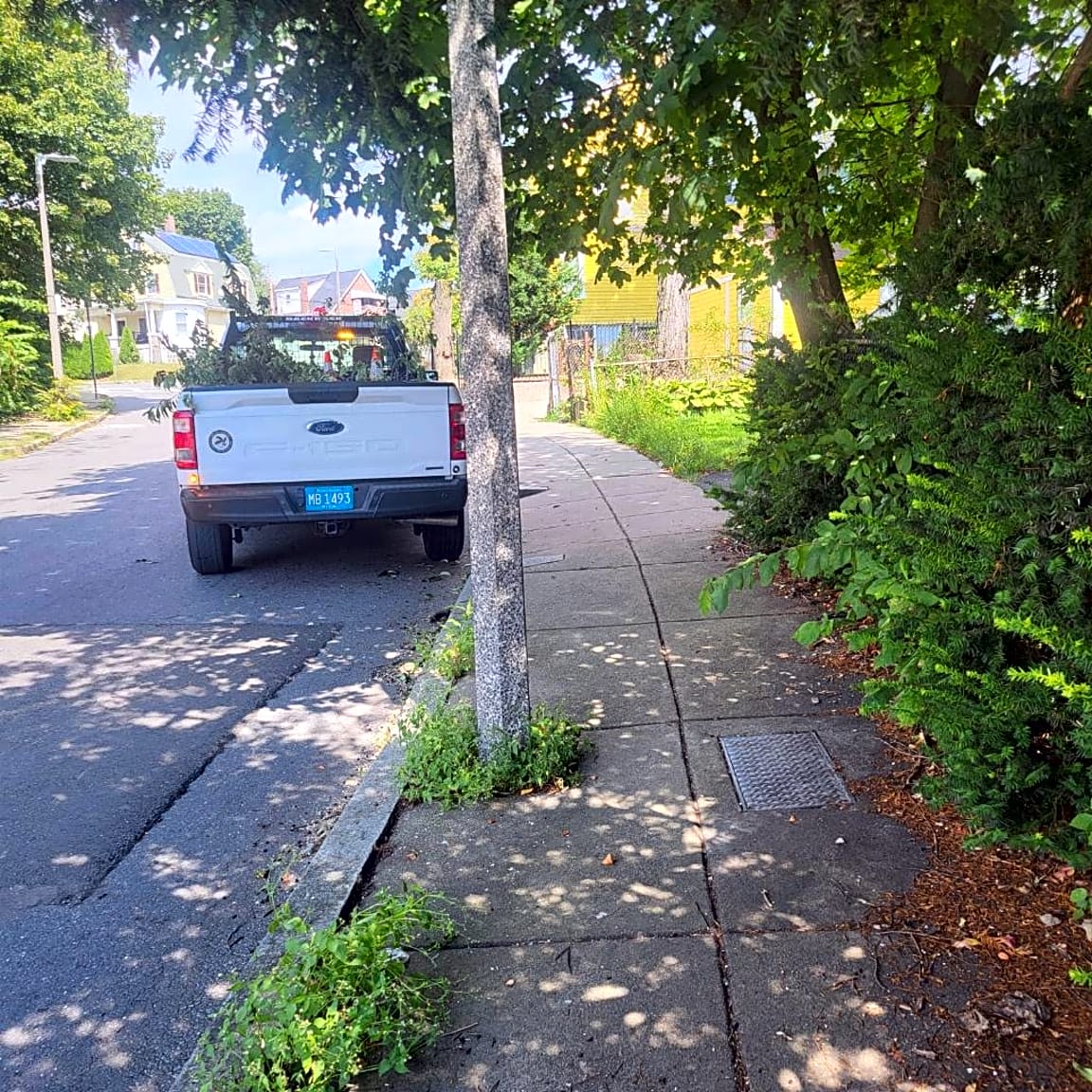 Image submitted with report