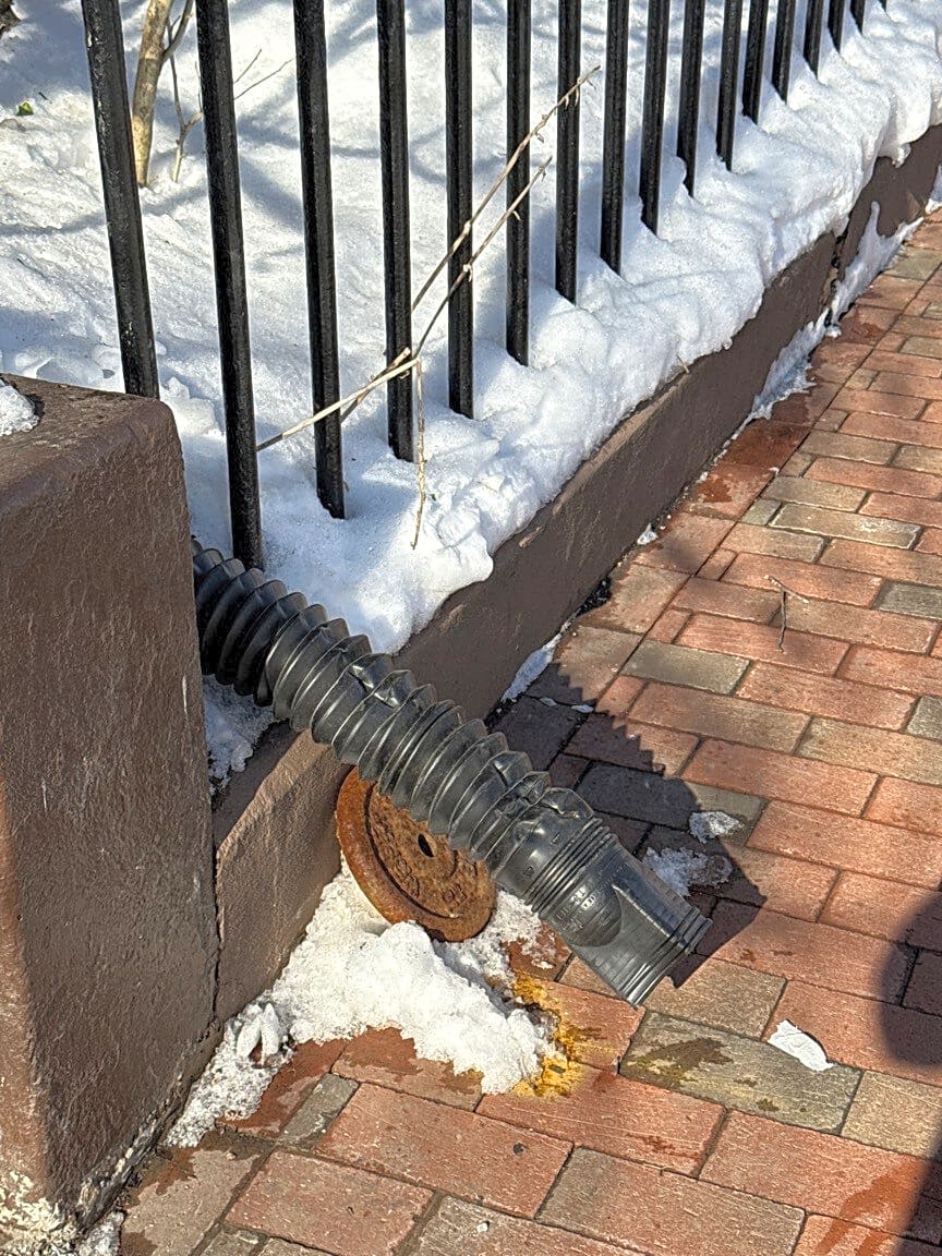 Image submitted with report