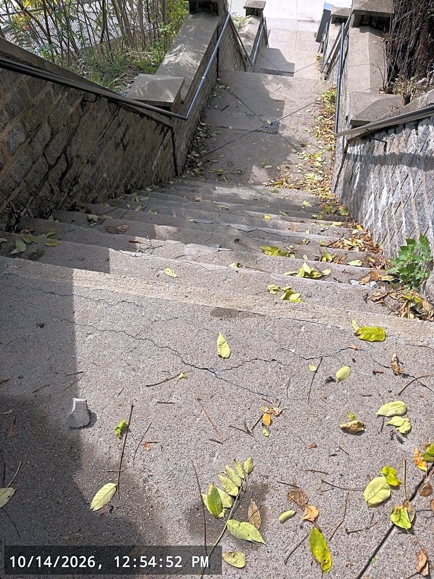 Image submitted with report