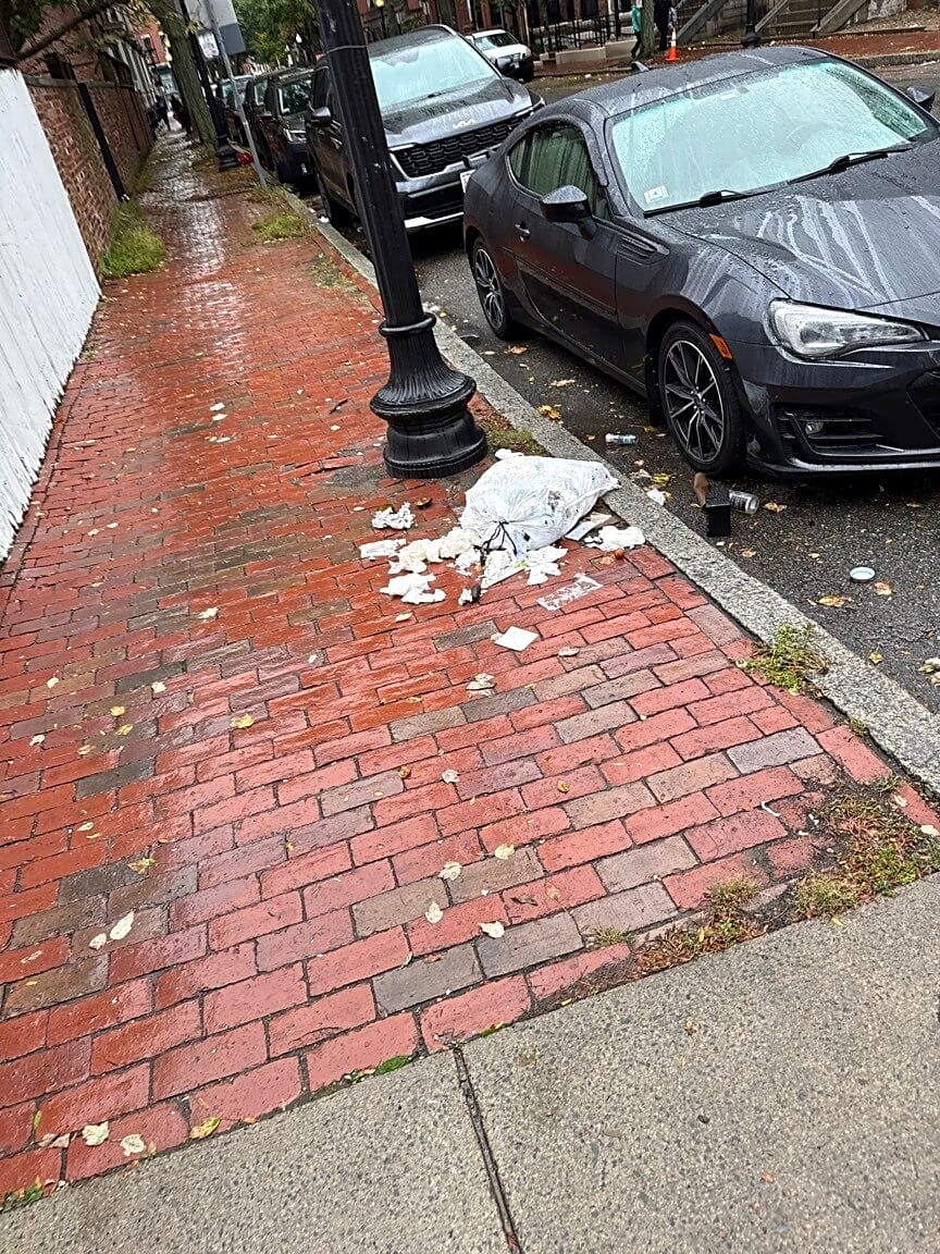 Image submitted with report