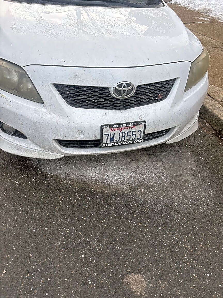 Image submitted with report