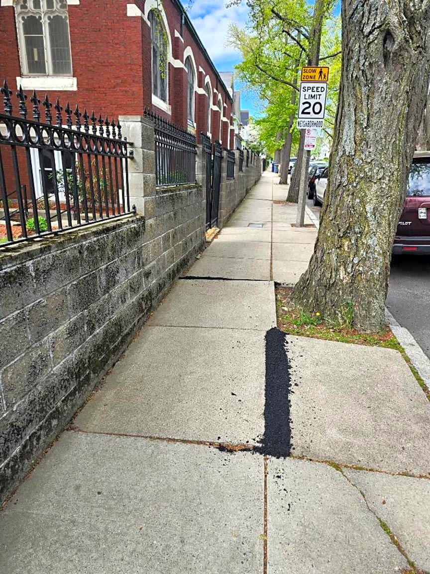 Image submitted with report