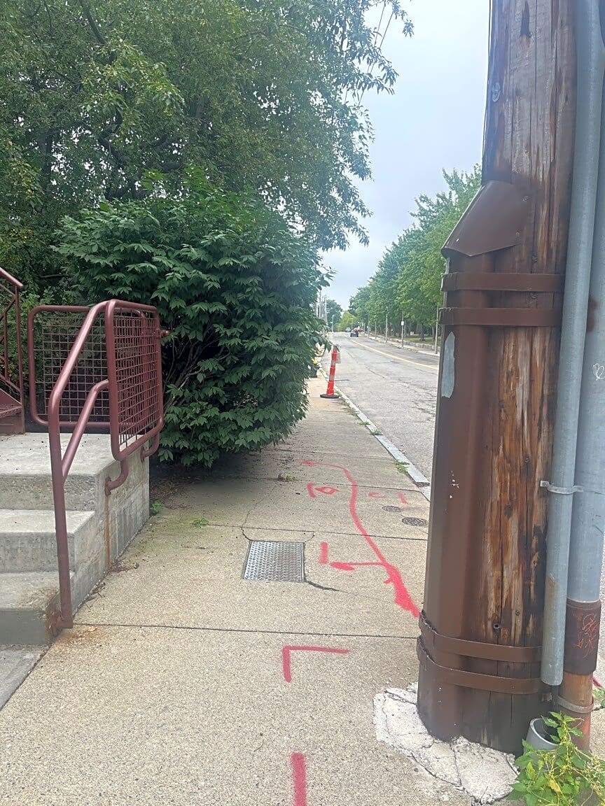 Image submitted with report