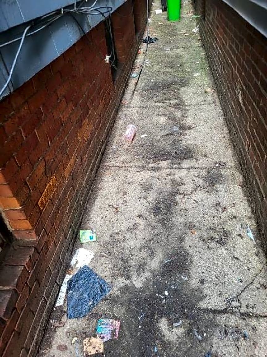 Image submitted with report