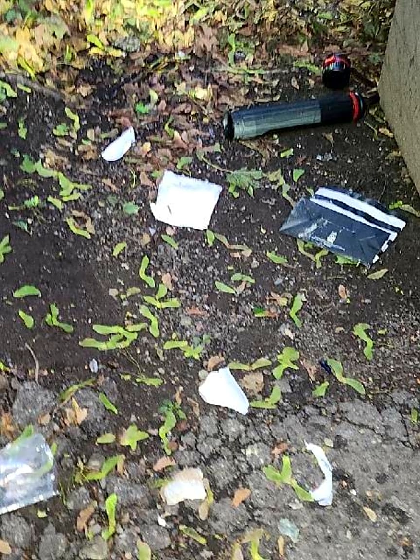 Image submitted with report