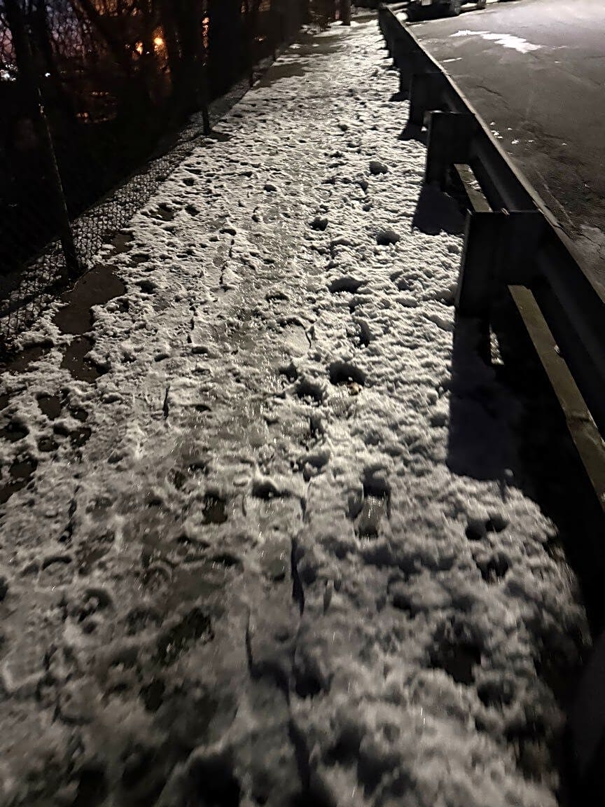 Image submitted with report