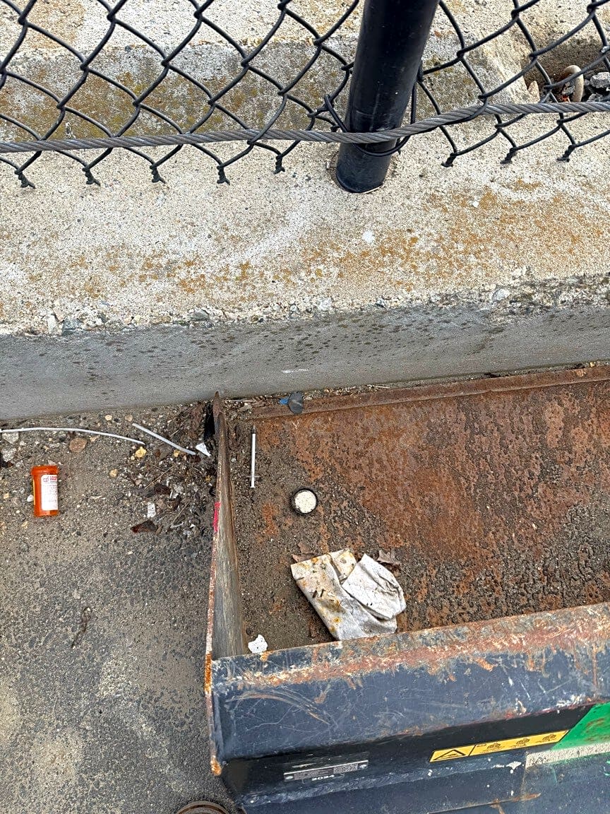 Image submitted with report