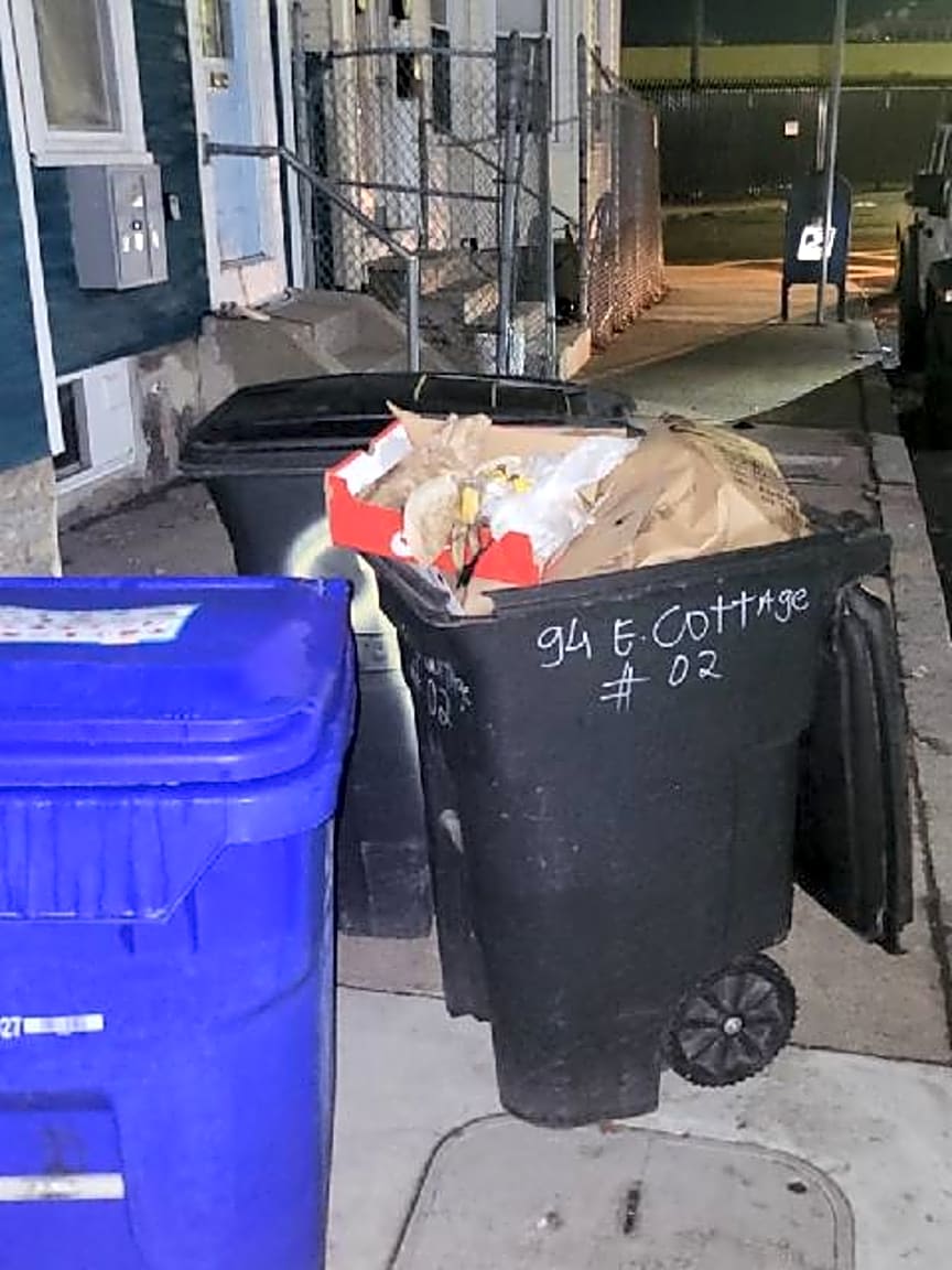 Image submitted with report