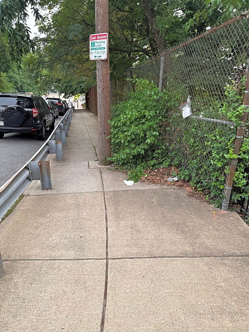 Image submitted with report