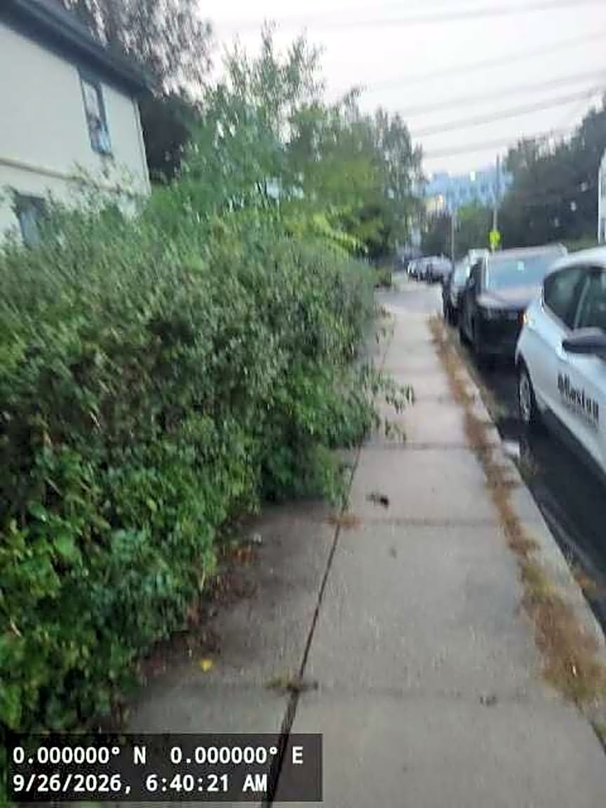 Image submitted with report