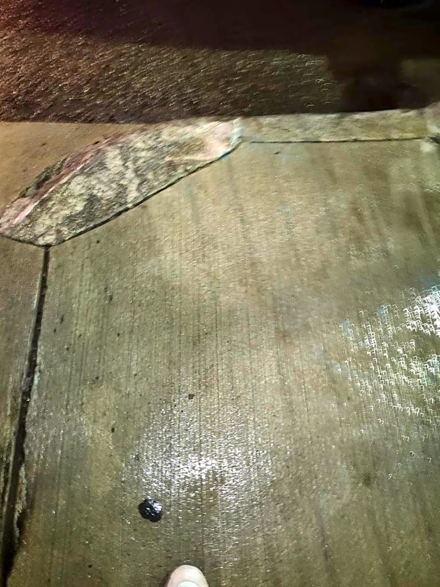 Image submitted with report
