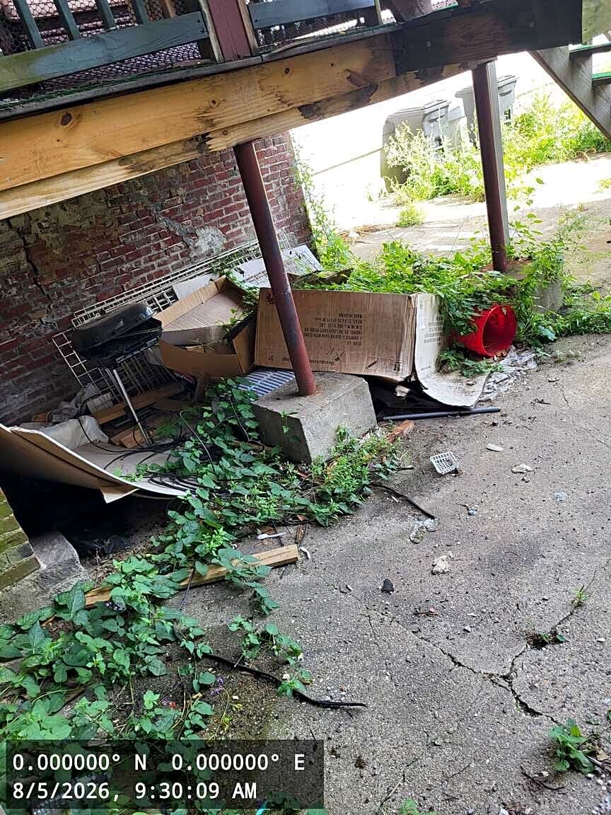 Image submitted with report