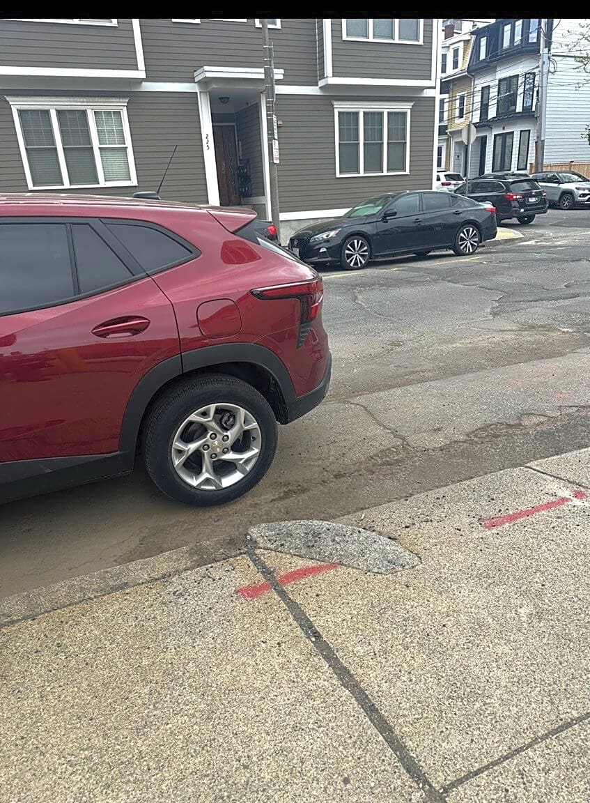 Image submitted with report