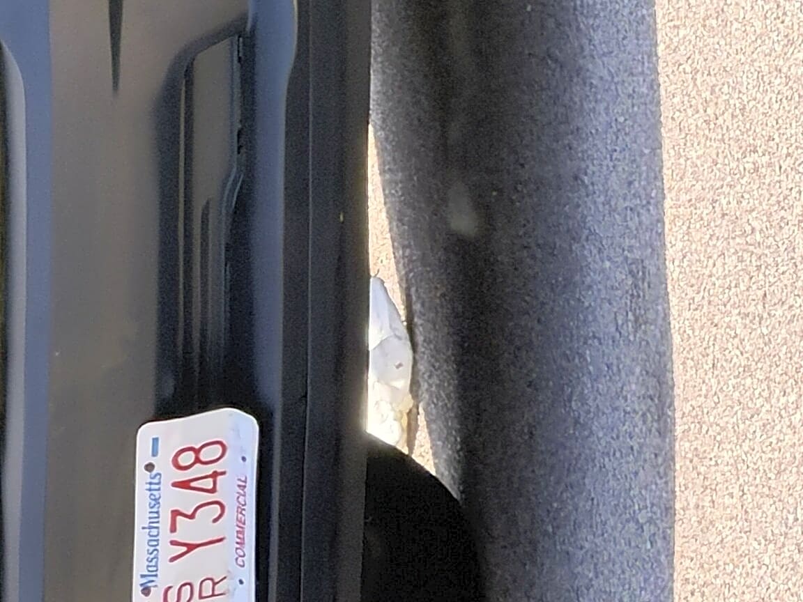 Image submitted with report