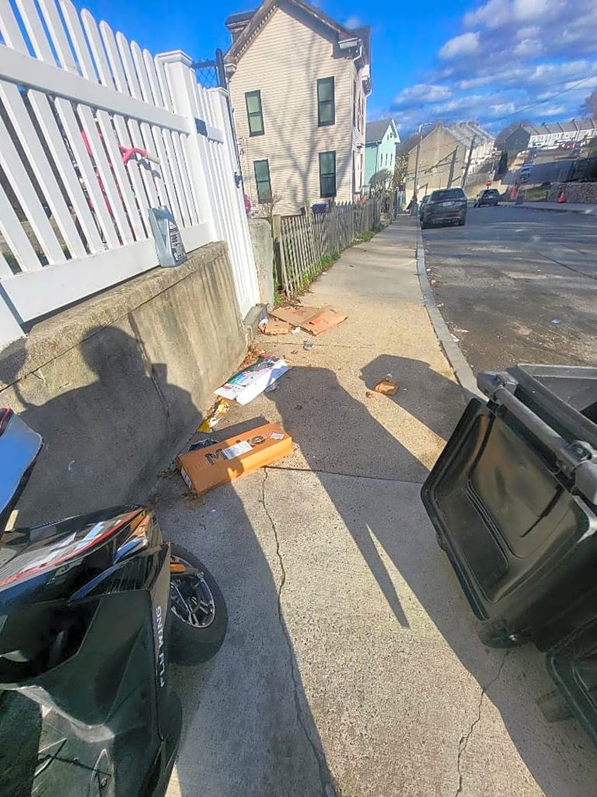 Image submitted with report