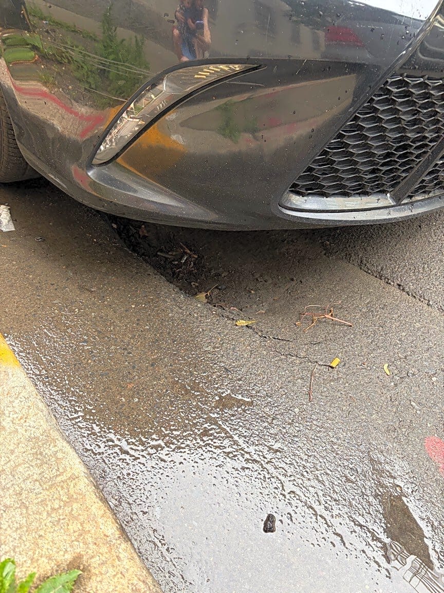 Image submitted with report