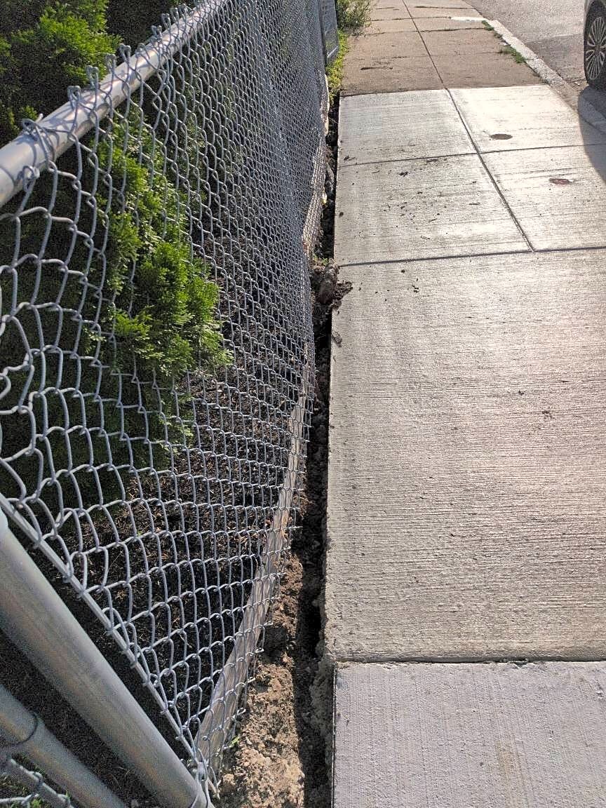 Image submitted with report