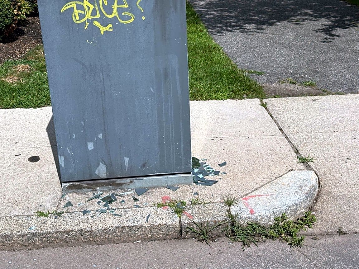 Image submitted with report