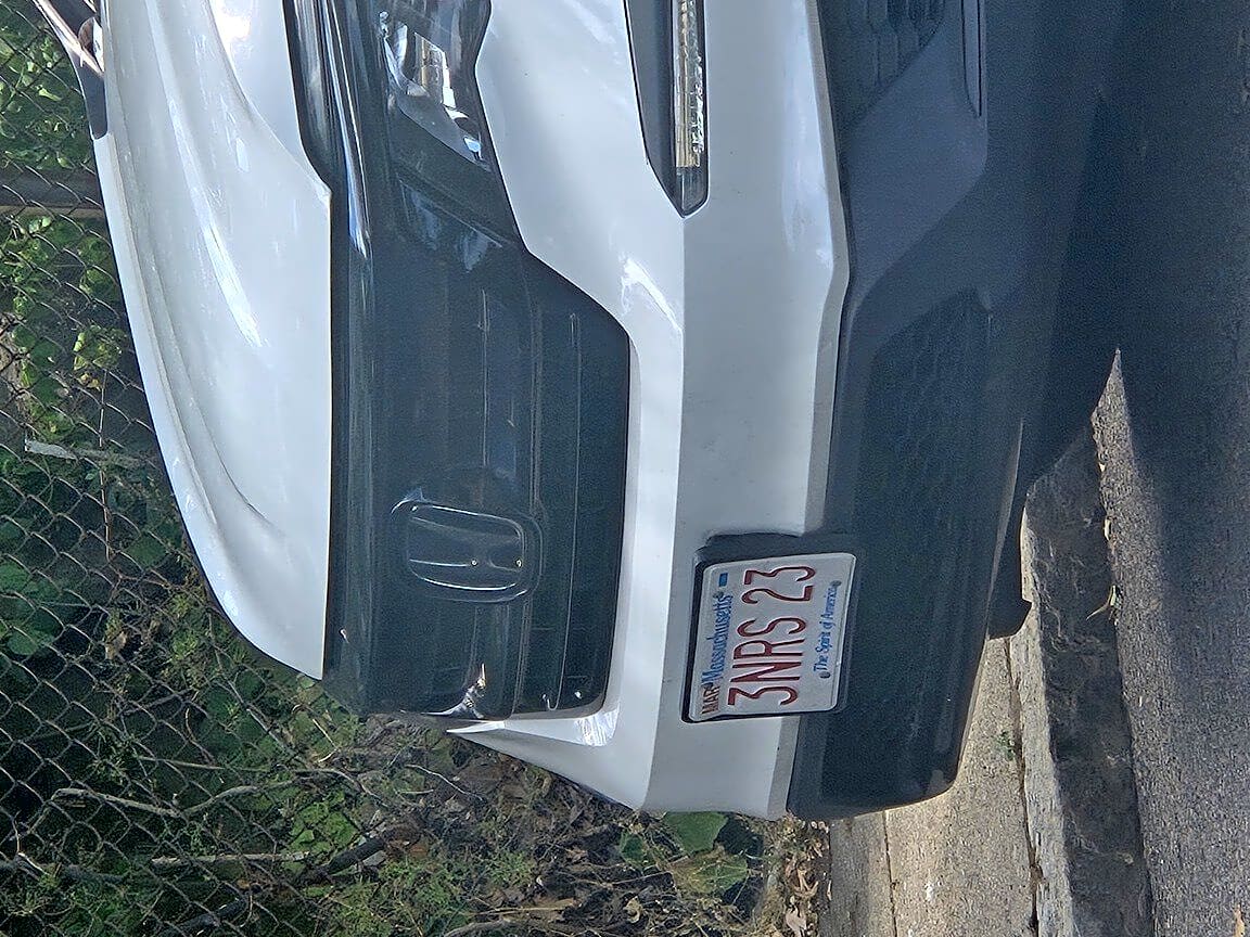 Image submitted with report