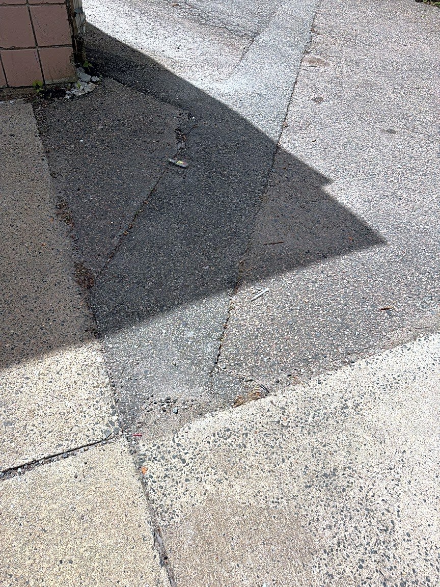 Image submitted with report
