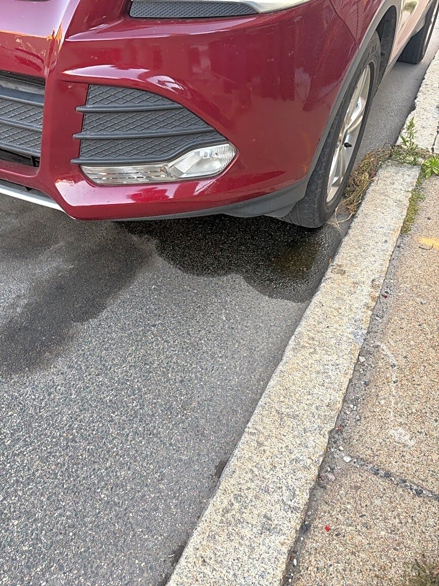 Image submitted with report