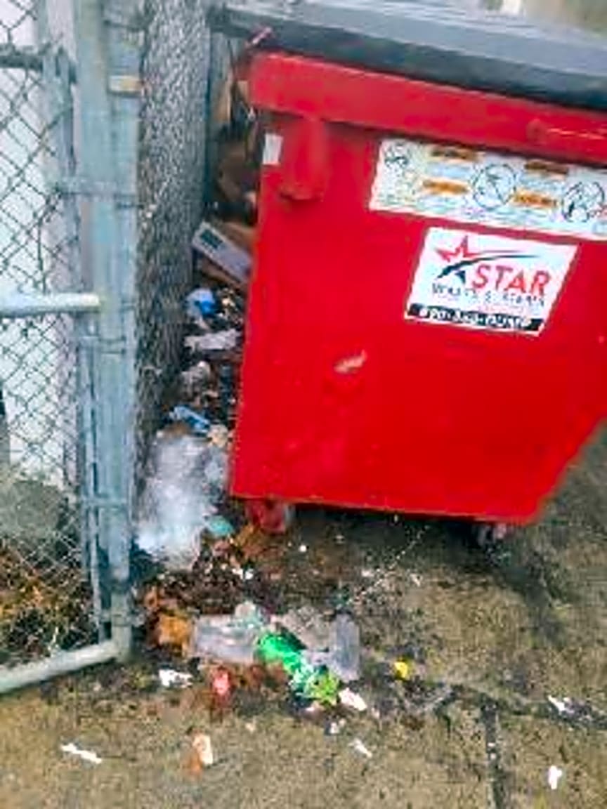 Image submitted with report