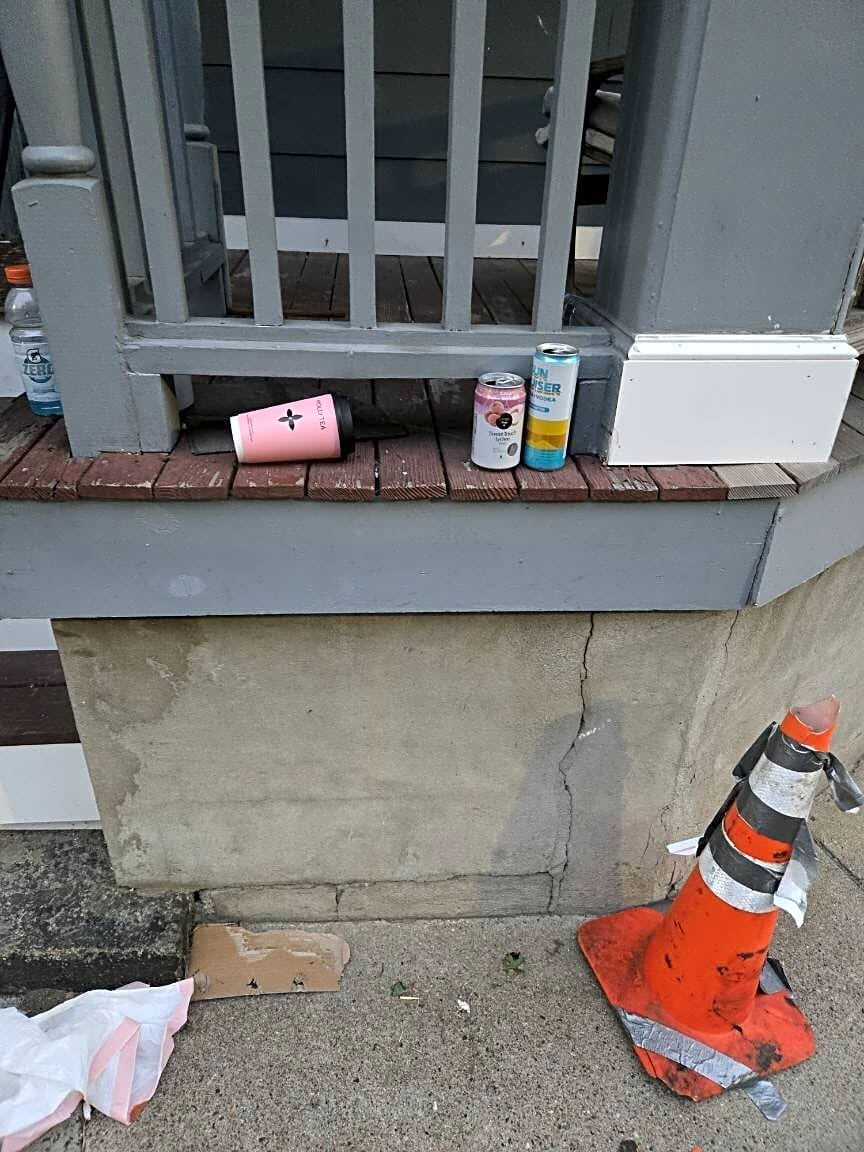 Image submitted with report