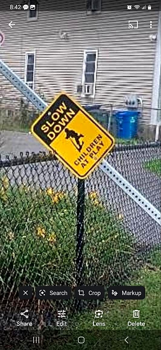 Image submitted with report