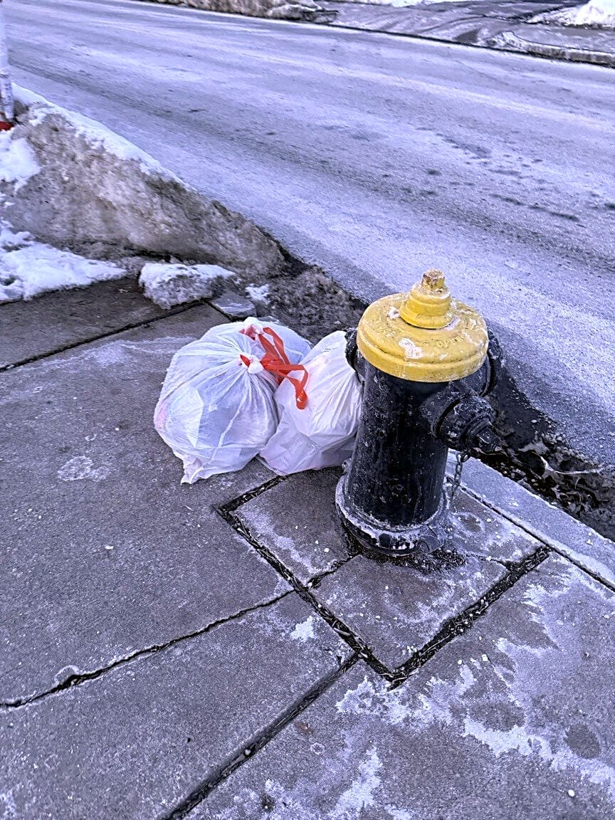 Image submitted with report