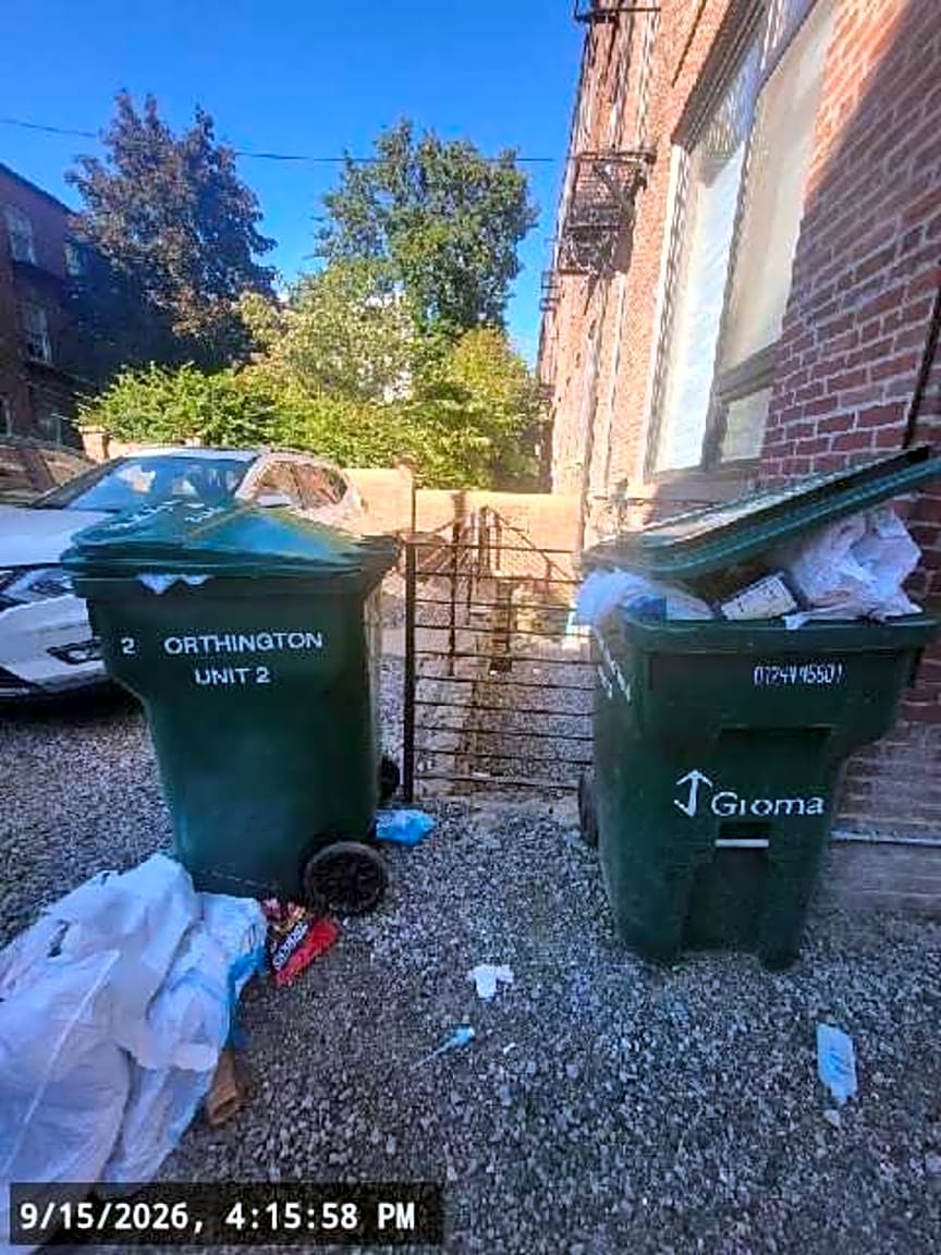 Image submitted with report
