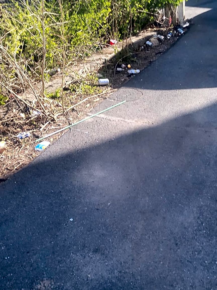 Image submitted with report