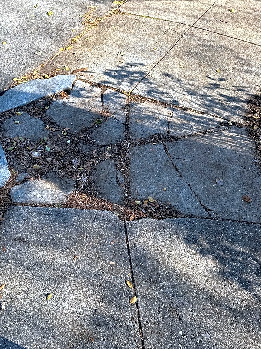 Image submitted with report