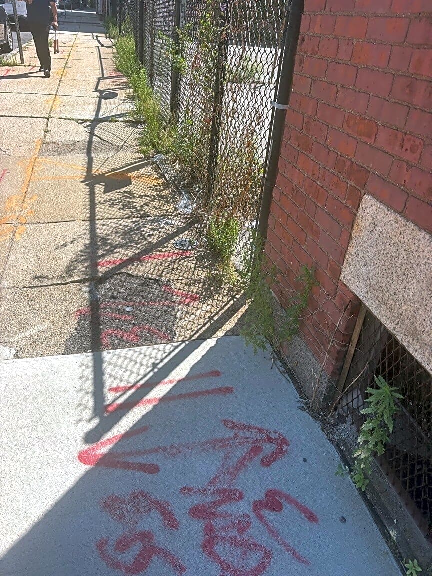 Image submitted with report
