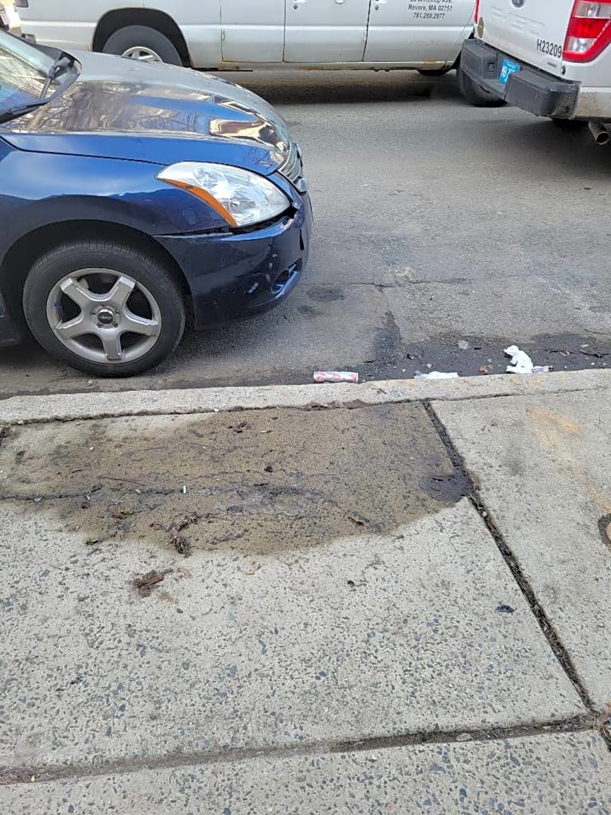 Image submitted with report