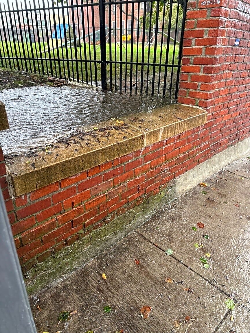 Image submitted with report