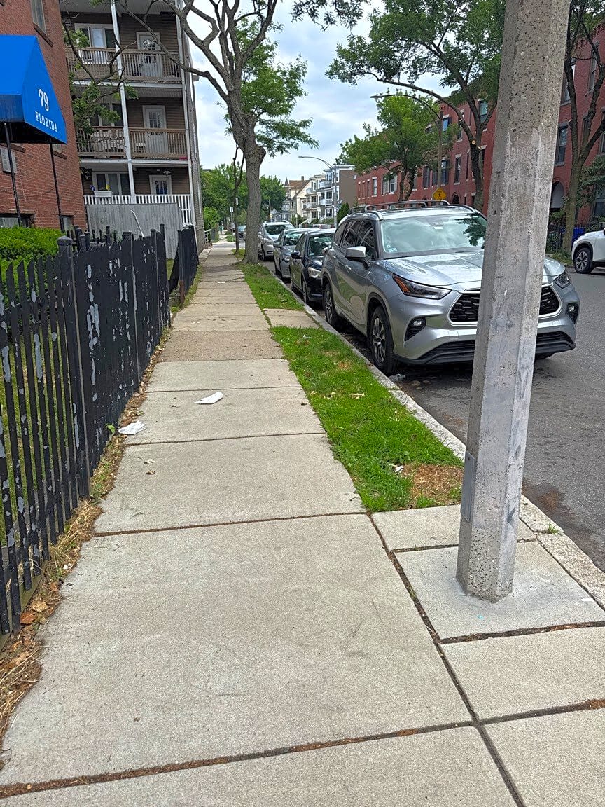 Image submitted with report