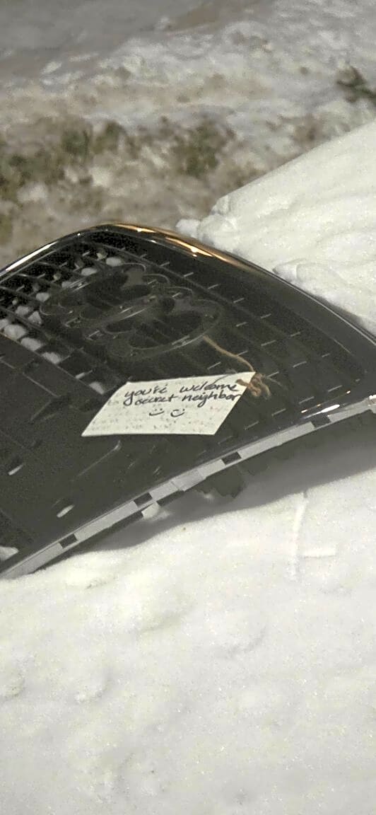 Image submitted with report