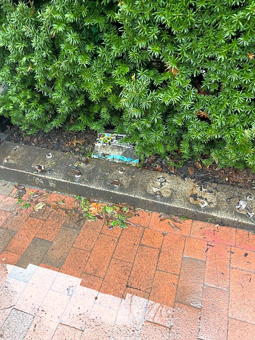 Image submitted with report