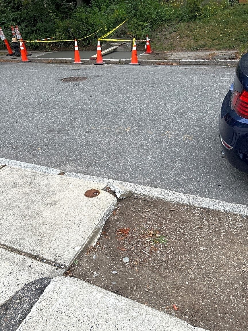 Image submitted with report