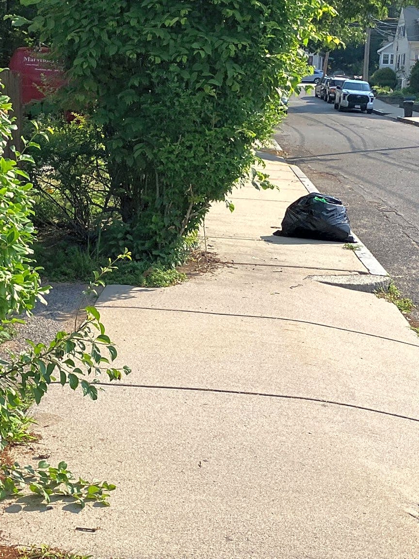 Image submitted with report