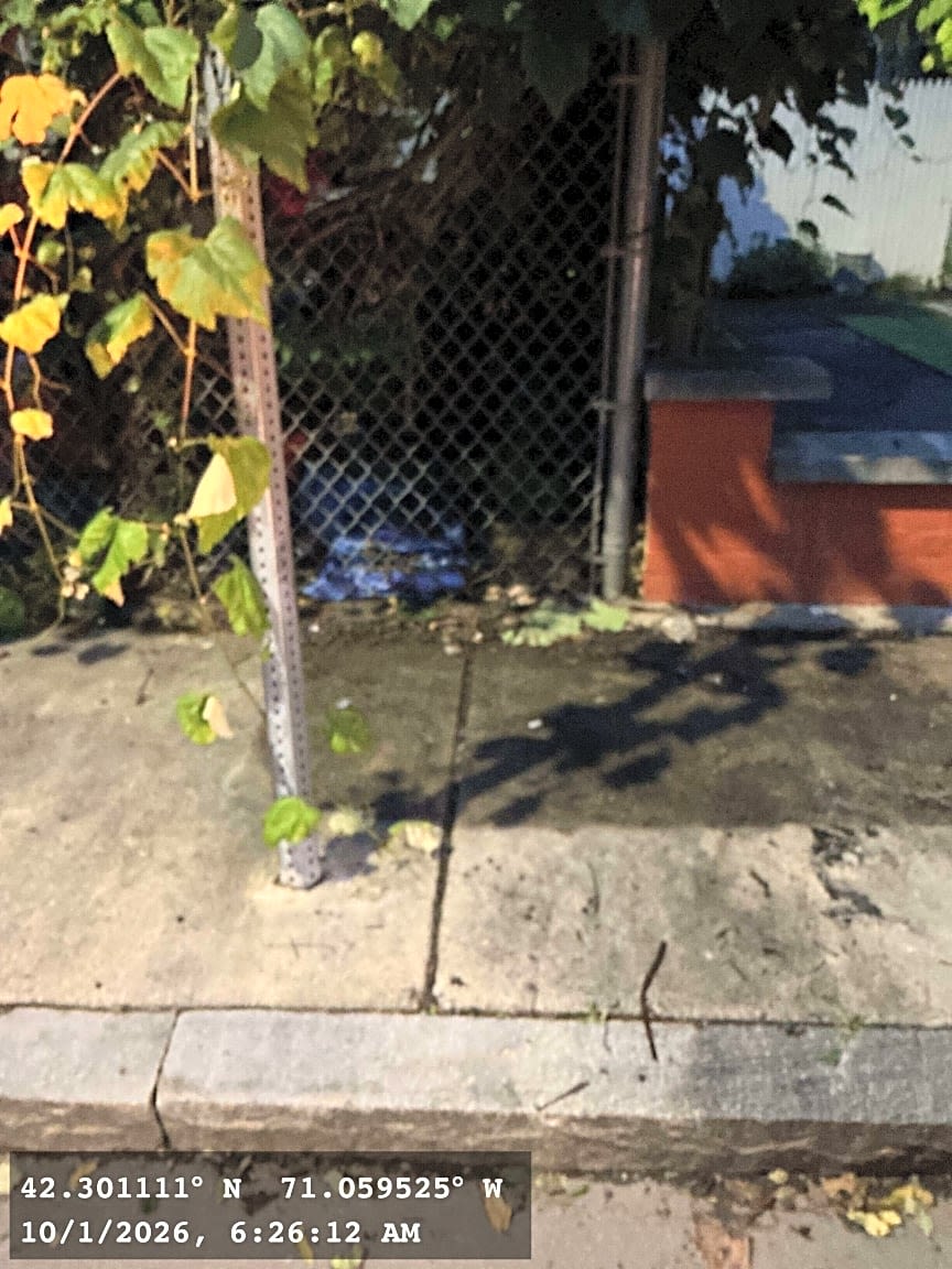 Image submitted with report