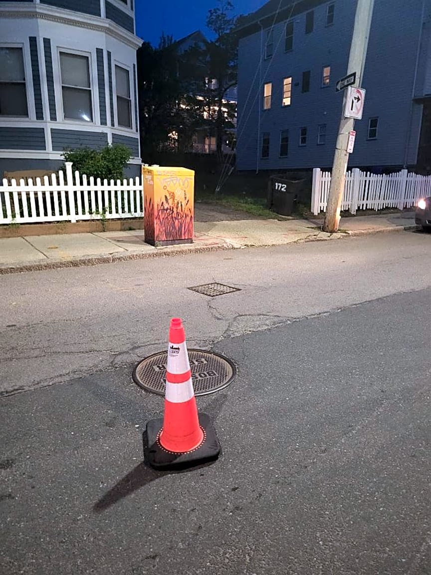 Image submitted with report