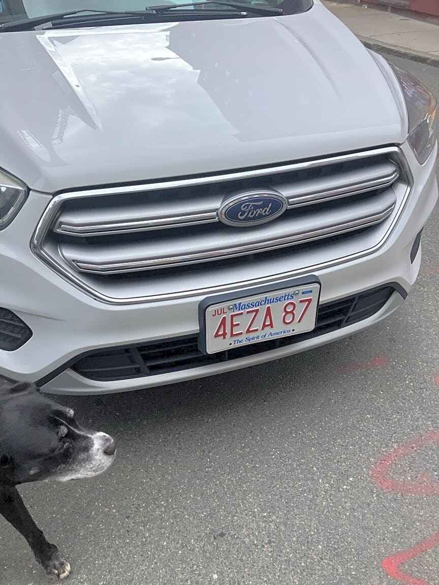 Image submitted with report