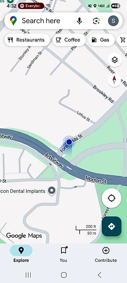 Image submitted with report