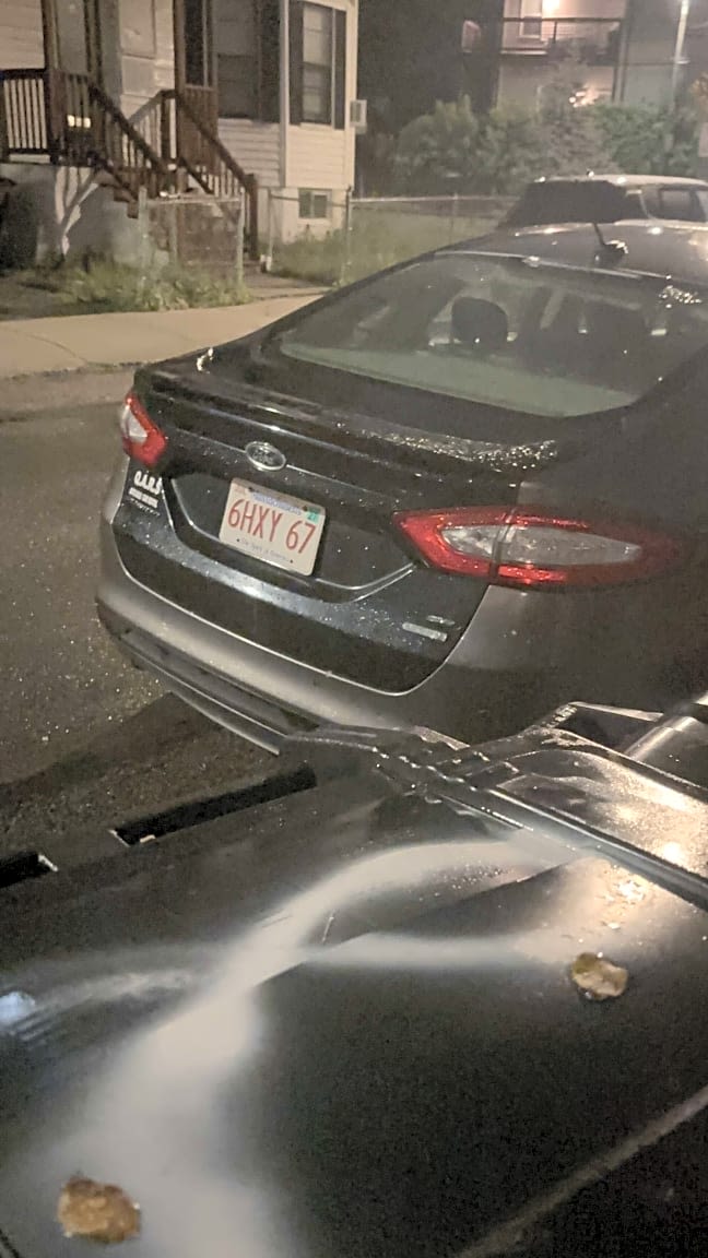 Image submitted with report