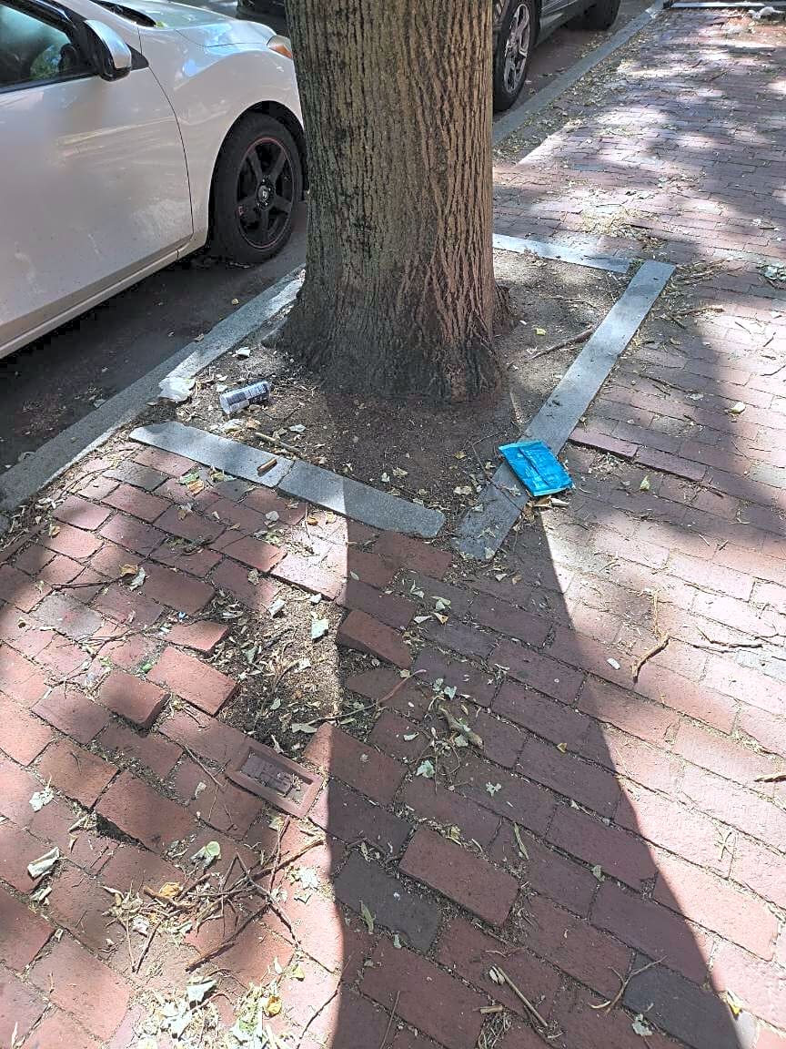 Image submitted with report