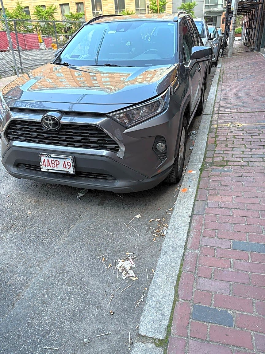 Image submitted with report